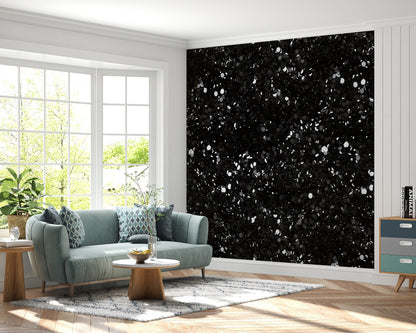 Removable Wallpaper, White Dotted Black Coins- Peel & Stick, Reusable, Self Adhesive, 26" Panels, Easy Install, Seamless